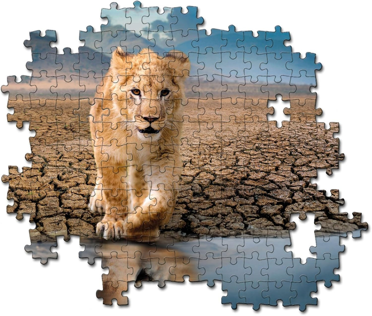 300 Piece Jigsaw Puzzle - Self Reflection