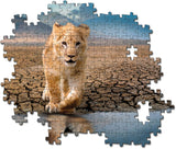 300 Piece Jigsaw Puzzle - Self Reflection