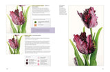 The Modern Flower Painter in Watercolours Book