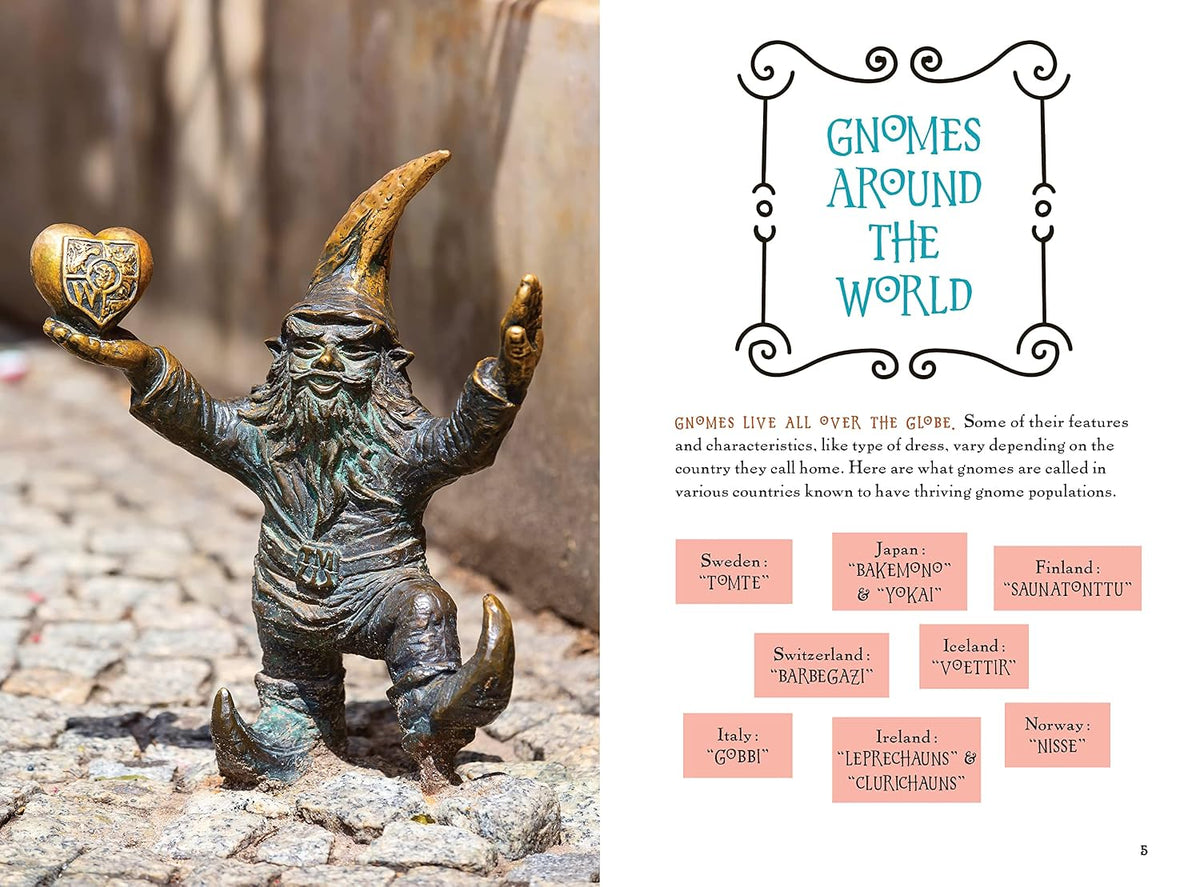 Paint Your Own Gnome at Home Kit