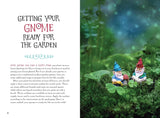 Paint Your Own Gnome at Home Kit