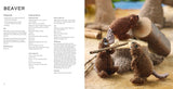 Knit a Mini Woodland Book