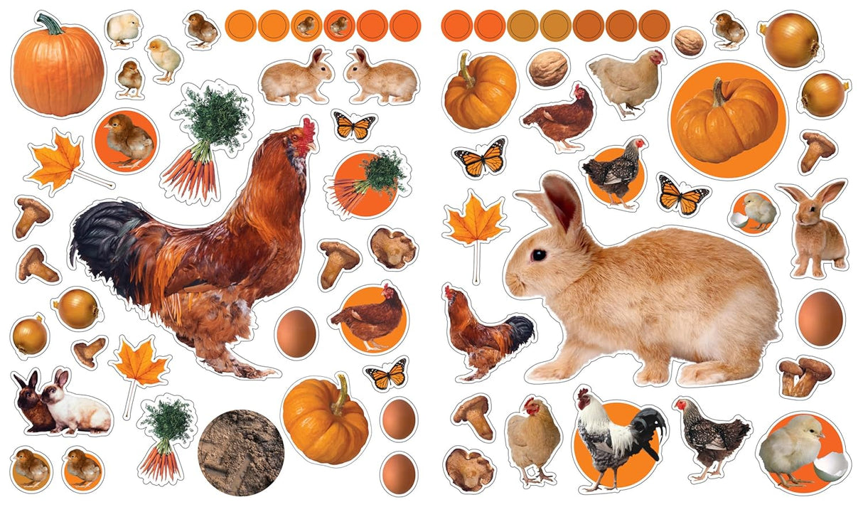 Eyelike Sticker Book: On the Farm