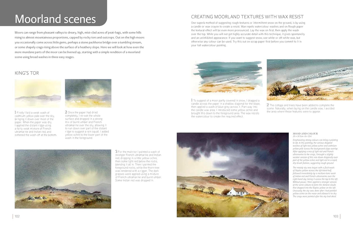 David Bellamy's Complete Guide to Landscapes Book