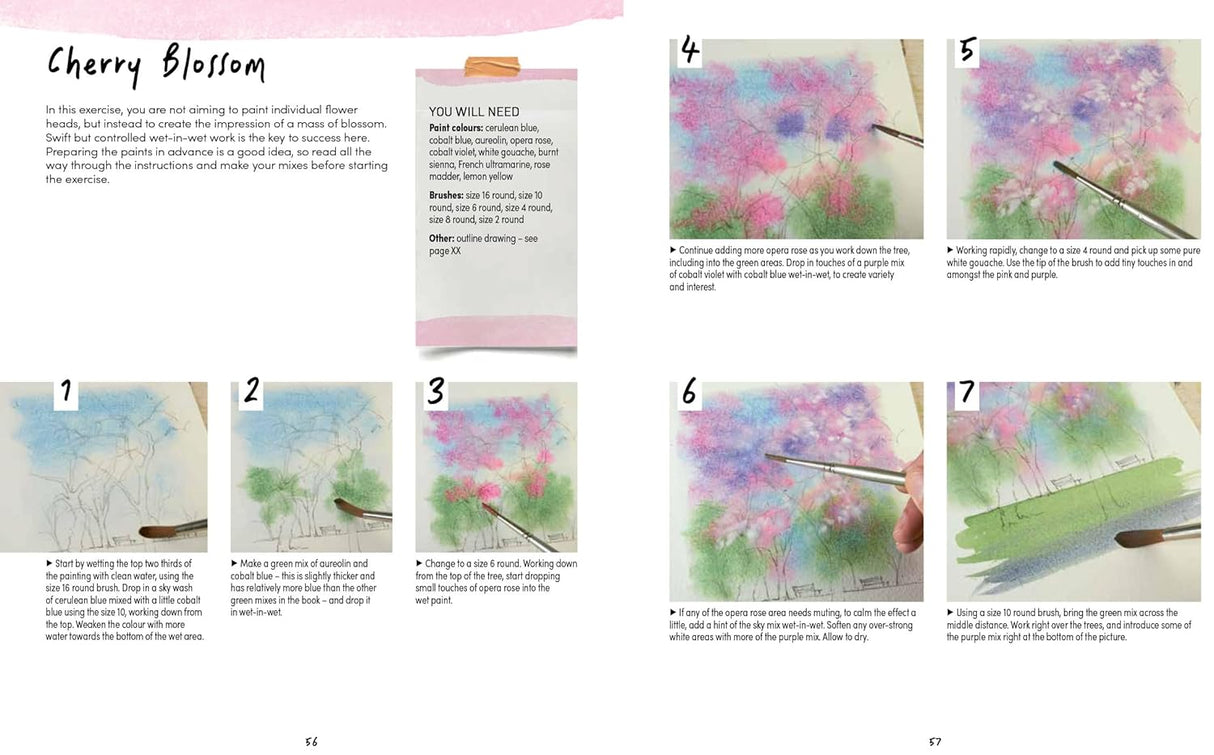 Ready to Paint Postcards: Woodlands Book