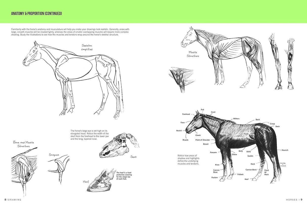 Drawing: Horses Book