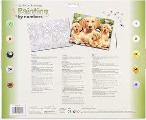 Paint By Numbers Junior Large Golden Retrievers