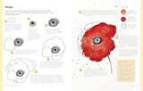 The Kew Book of Drawing Flowers Book