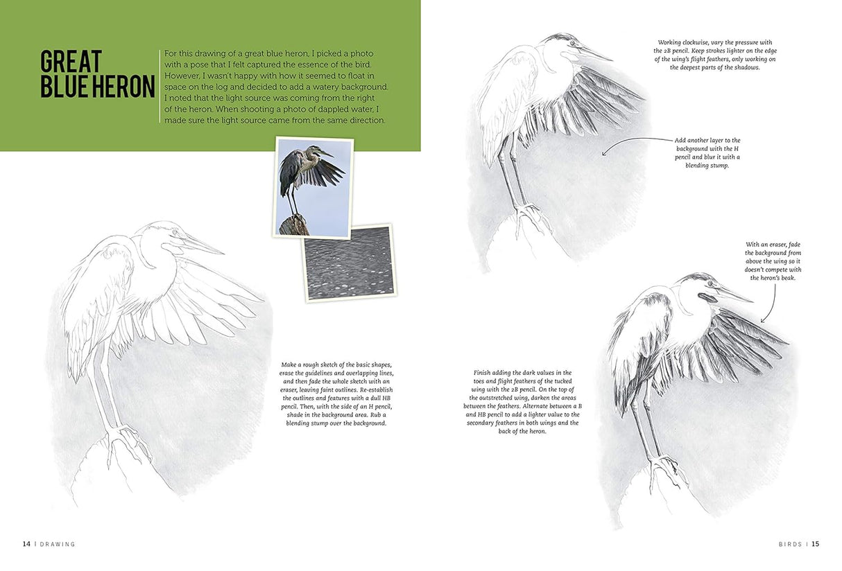 Drawing Birds: Learn to Draw Step by Step Book