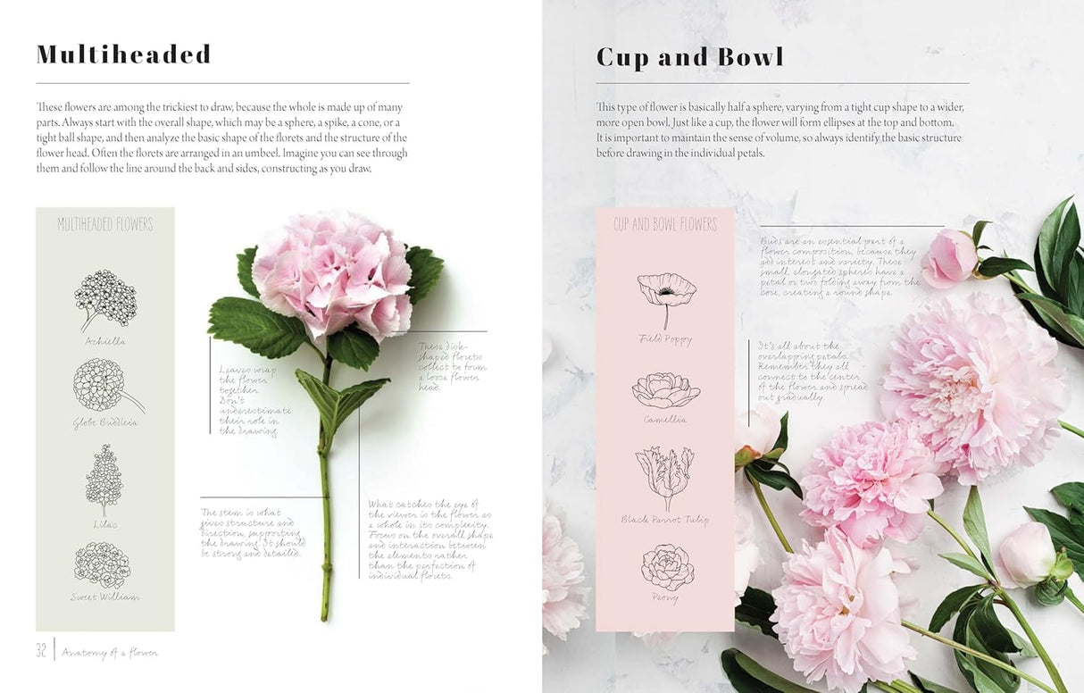 The Kew Book of Drawing Flowers Book