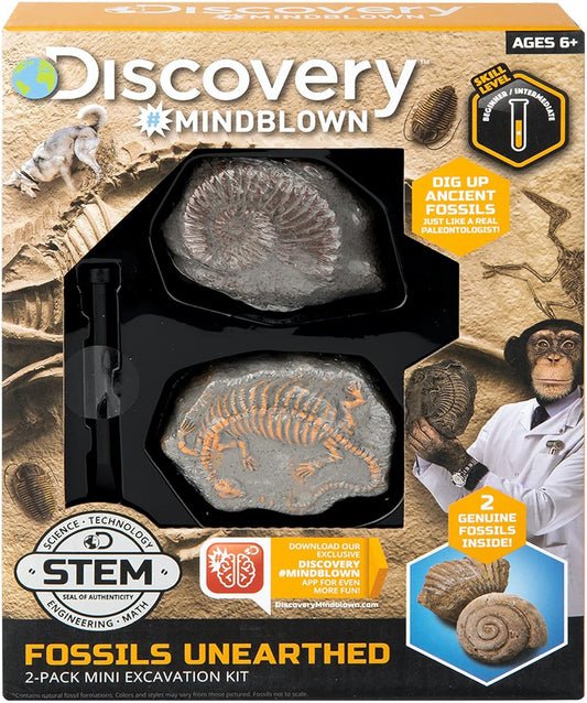 Discovery Kids Mini Fossil  Excavation Kit