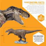 Toy AnatomyT-Rex Kit