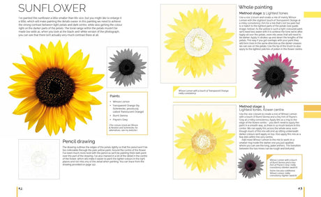 Anna Manson's Watercolour World Softcover Book