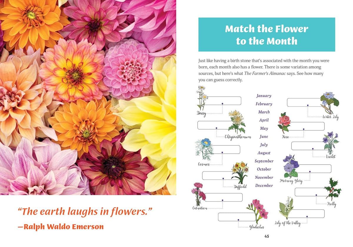 Paint by Number Kit: Botanicals