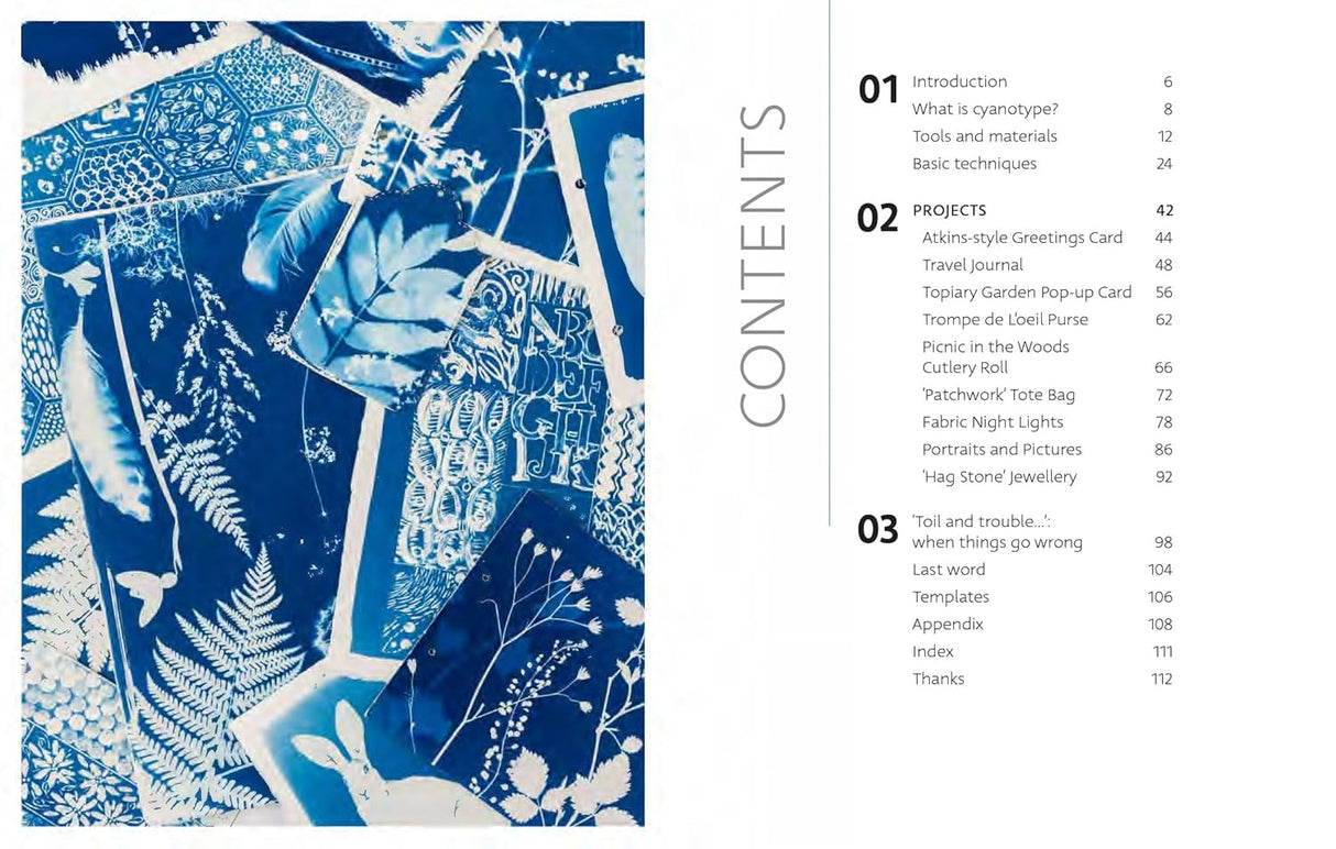 Beginner's Guide to Cyanotype Book