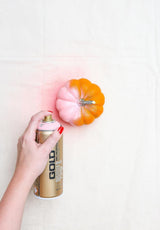 Montana GOLD Spray Paint 400ml - Lychee (G3000)