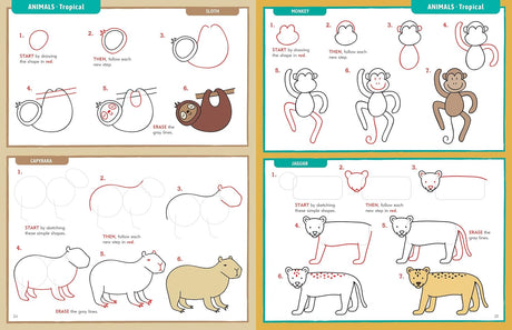 Learn To Draw Everything Book