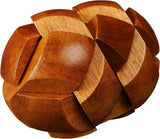 Professor Puzzle Darwin's Egg of Evolution