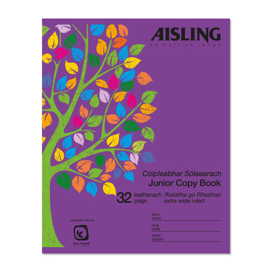 Aisling Junior Copy Book - Pack of 20