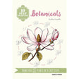 10 Step Drawing: Botanicals Book