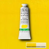 Artists' Oil Colour 37ml Cadmium-Free Lemon