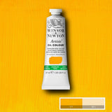 Artists' Oil Colour 37ml Cadmium-Free Yellow