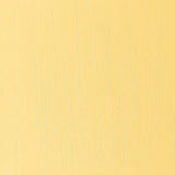 Artists' Oil Colour 37ml Cadmium-Free Lemon