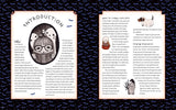 Creepy Cute Drawing Class Book