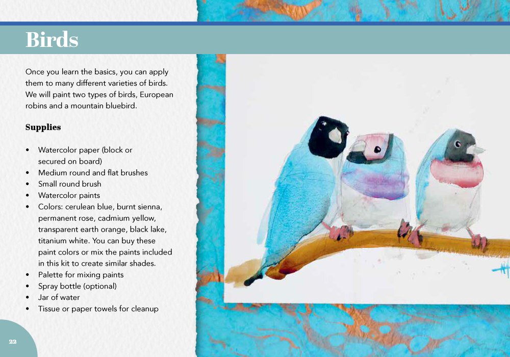The Birder's Outdoor Painting Kit