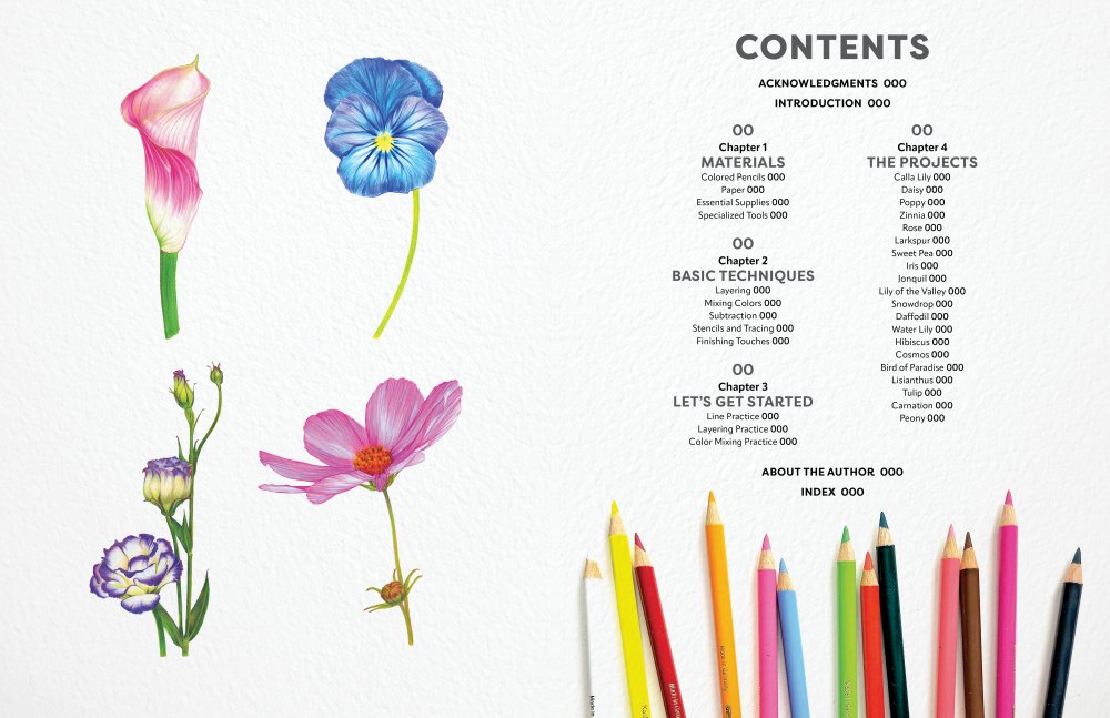 Coloured Pencil Workbook: Fabulous Flowers
