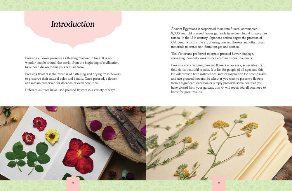 Beautiful Botanicals Pressed Flower Crafts Kit & Book