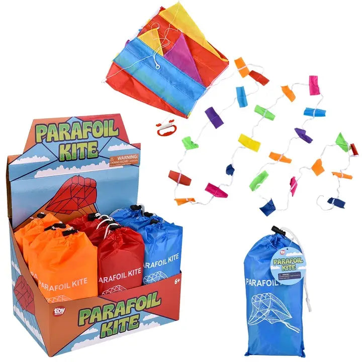 Parafoil Kite In Bag 60cm x 51cm (Assortment)