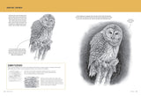 Drawing Birds: Learn to Draw Step by Step Book