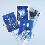 PAR Cyanotype Refills (2 x 250ml)