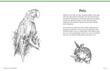 Big School of Drawing Animals Book
