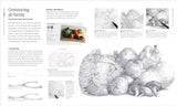 Artists Drawing Techniques Book