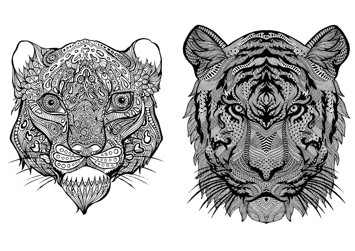 Art Therapy - An Anti-Stress Colouring Book for Adults