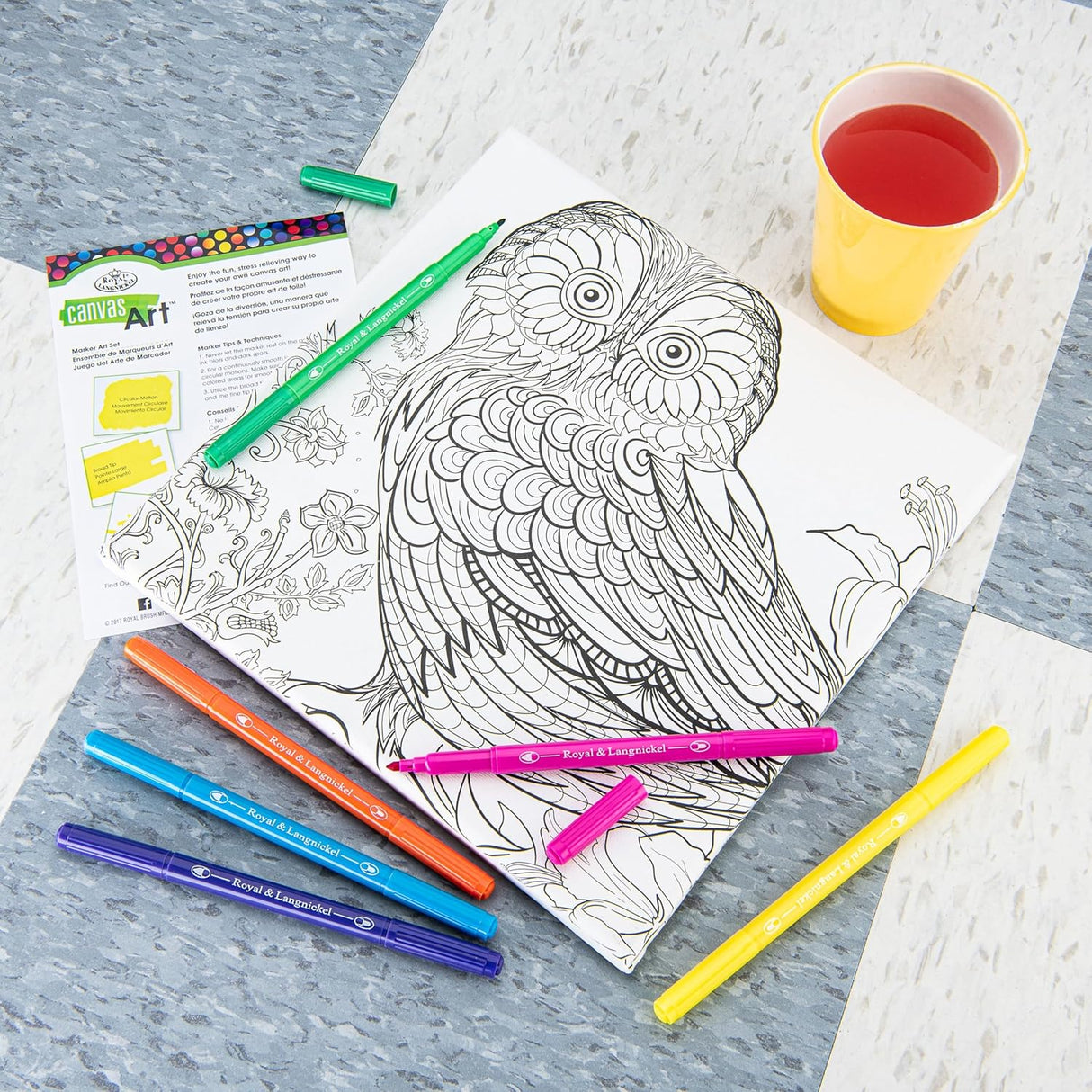 Owl Art Canvas Art Kit With Markers