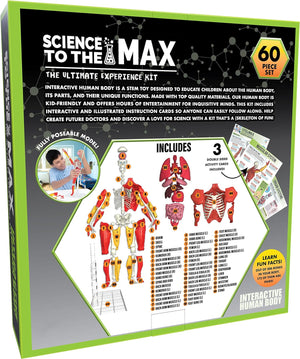 Science to the Max Interactive Human Body Model