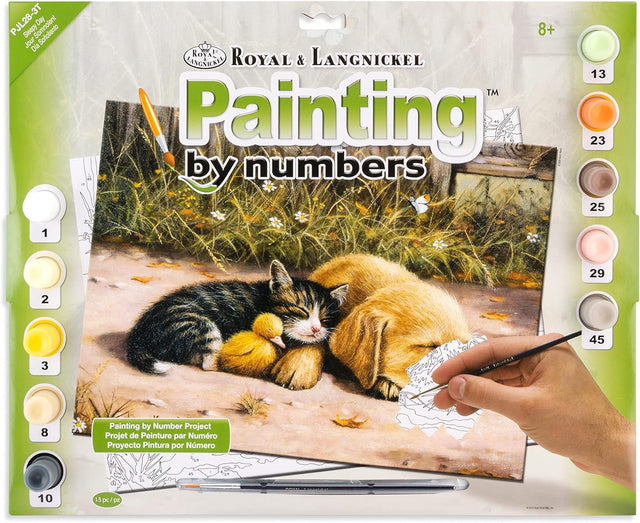 Paint By Numbers Junior Large - Sleepy Day