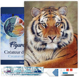 Diamond Art Kit 40x50cm - Tiger Eye