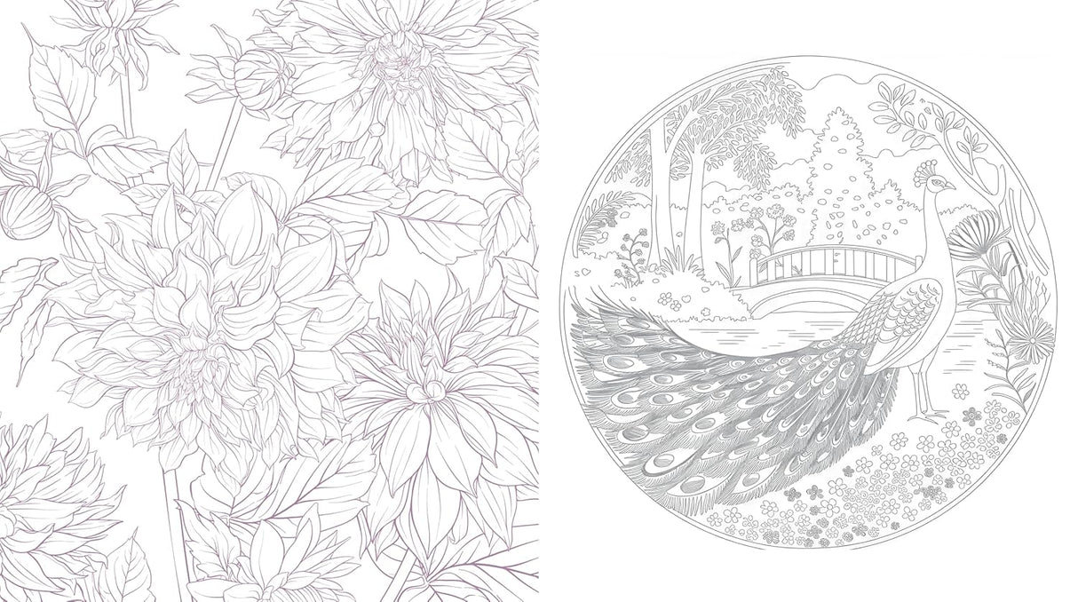 Wonder Gardens Colouring Book