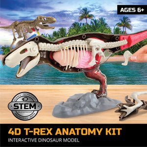 Toy AnatomyT-Rex Kit
