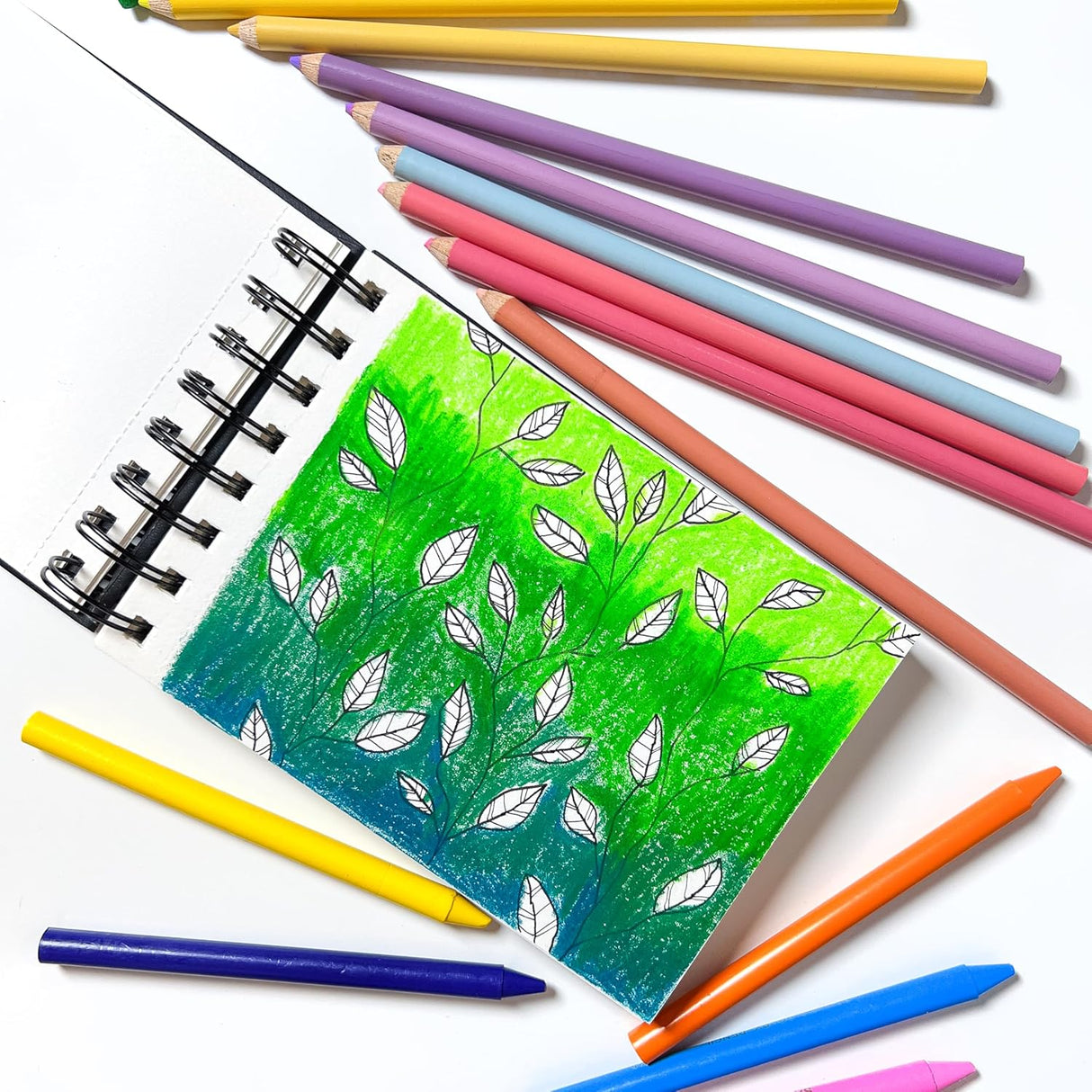 Elements Wire-O Hard Cover Sketch Book Black Landscape - A4