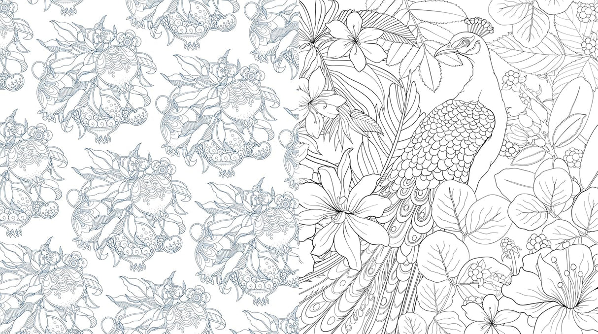 Coloring book page with a peacock and floral design