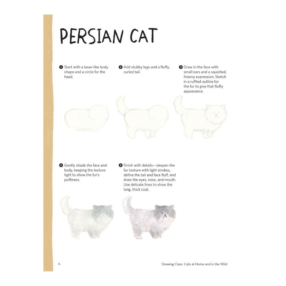 Step-by-step guide on how to draw a Persian cat with illustrations and text.