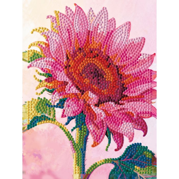 Diamond Dotz Stretched Canvas 15x20cm - Ruby Eclipse