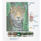 Diamond Dotz Stretched Canvas 30x40cm Kit - Jaguar Jungle