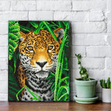 Diamond Dotz Stretched Canvas 30x40cm Kit - Jaguar Jungle