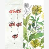 Reverse Coloring Gardens Book